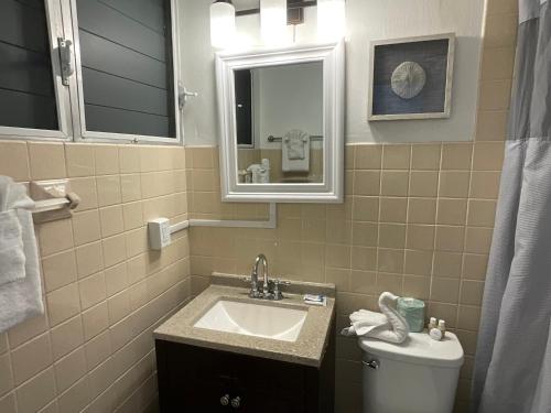 a bathroom with a sink and a toilet and a mirror at The Frederiksted Hotel in Frederiksted
