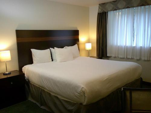 a large bed in a hotel room with two lamps at Best Western Alderwood in Lynnwood