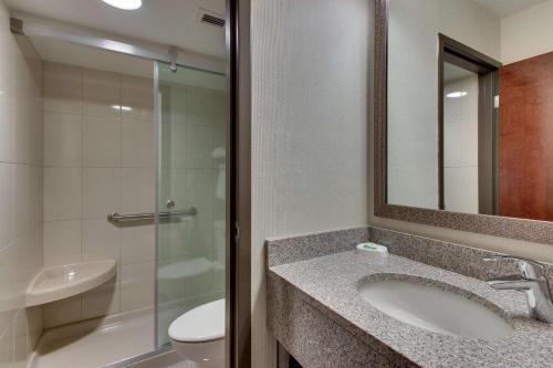 a bathroom with a sink and a toilet and a shower at Pear Tree Inn St. Louis Airport in Edmundson