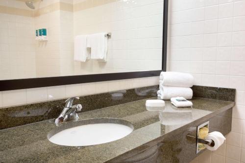 uma casa de banho com lavatório, espelho e toalhas em Drury Inn & Suites Austin North em Austin