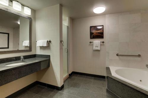 Un baño de Drury Inn & Suites St. Louis Arnold