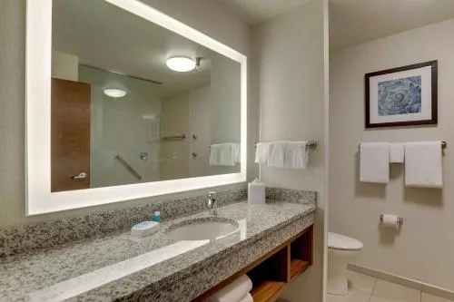 Drury Plaza Hotel Orlando - Disney Springs Area photo 7