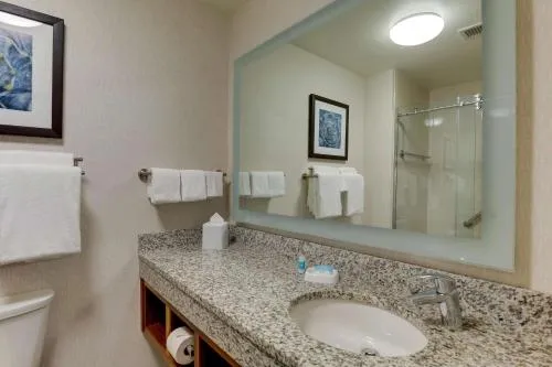 Drury Plaza Hotel Orlando - Disney Springs Area photo 16