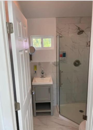 a bathroom with a shower and a sink at Room with private bath Santoniri inspired in Seattle