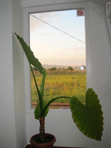 Gallery image of Livija rooms in Petrovec