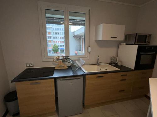 a small kitchen with a sink and a window at Appartement jolie vue WIFI in Besançon