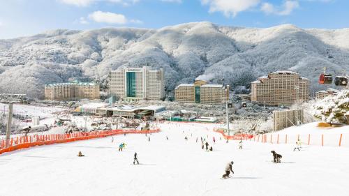 a group of people skiing down a snow covered slope at VivaldiPark in Hongcheon