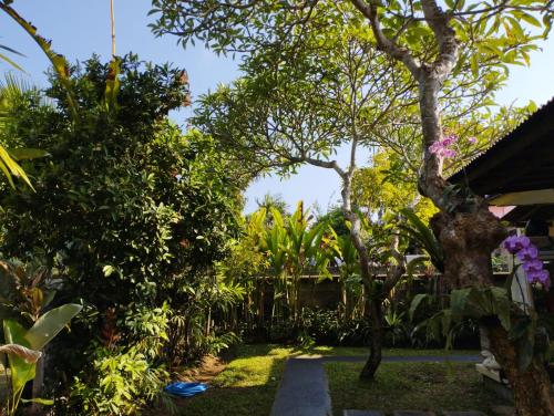 Casa Mesari – Photos 3