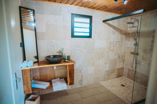 ein Bad mit einem Waschbecken und einer Dusche in der Unterkunft L'Auberge Créole in Saint-Benoît