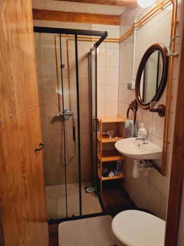 a bathroom with a shower and a toilet and a sink at Kuća za odmor Matovilka in Križevci