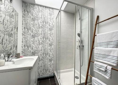 een badkamer met een douche, een wastafel en een toilet bij T2 - parking et jardin privatif in Lambersart