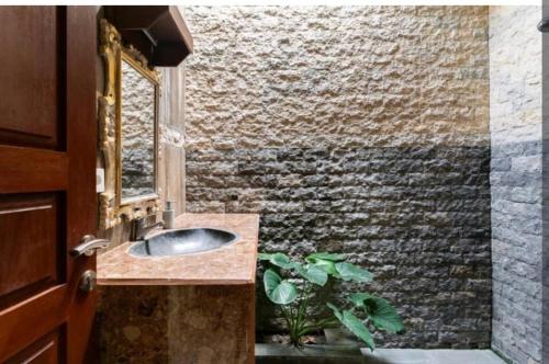 a bathroom with a sink and a plant in it at Rendira villa 2 in Ubud