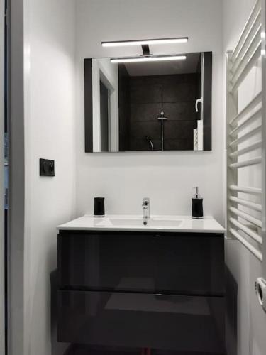 une salle de bain avec un lavabo et un miroir dans l'établissement Logement-Barry entre Tarbes et Lourdes, à Barry