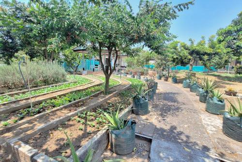 a garden with a bunch of plants in buckets at Papa Kana Farm Mitra RedDoorz At Pacet Mojokerto in Mojokerto