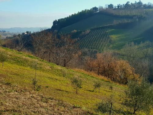 Gallery image of Azienda agricola biologica Le Lucciole in Bertinoro
