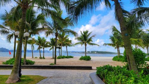 a row of palm trees on the beach at A la Carte Ha Long Residences Căn hộ 5 stars cạnh biển in Ha Long