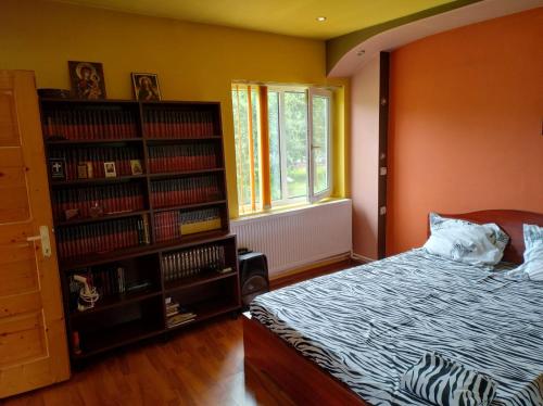 Postel nebo postele na pokoji v ubytování Casă de relaxare