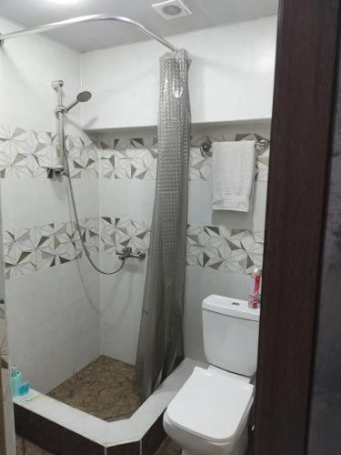 ein Bad mit einer Dusche und einem WC in der Unterkunft Апартаменты -студия in Vanadzor