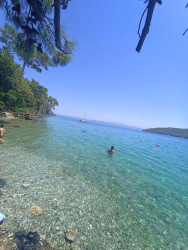 a person swimming in the water at a beach at Su camping in Dağpınar