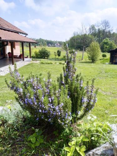 Villa Davidovic – Photos 5
