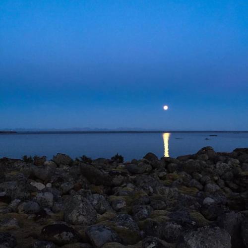 a moonrise over a body of water at night at Gammelstua Seaview Lodge in Kongsjorda