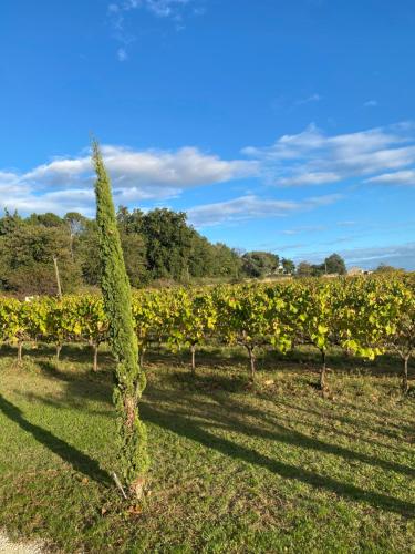 Zahrada ubytování L'annexe de L' Bergerie - L’ Ardèche - Via Rhona