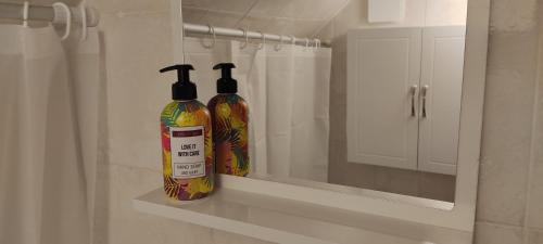 Deux bouteilles de savon assises sur une étagère dans une salle de bains dans l'établissement Appartement cosy plein centre, à Conches-en-Ouche