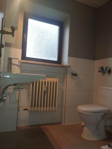 baño con aseo, ventana y radiador en Ferienwohnung Alpina Inzell en Inzell