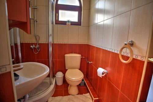 潘波洛沃Вила Форте Villa Forte的一间带马桶和洗手池的小浴室