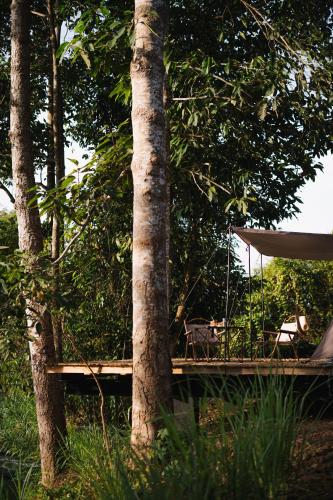 a porch with a hammock and a tent in the trees at Suối Camp in Ba Ria