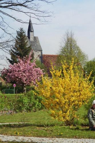 a person walking in front of a church with a tree at Ferienwohnung Siebmann in Neuruppin