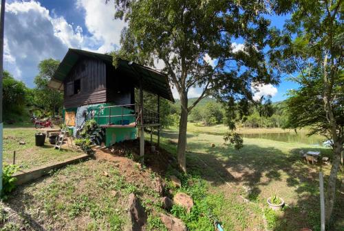 une petite maison dans un champ avec un arbre dans l'établissement Homtel Farmstay Campgrounds, à Pak Chong