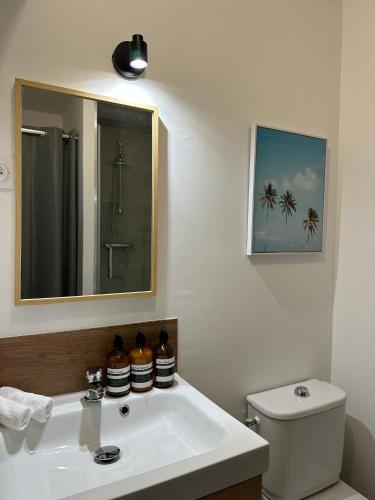 une salle de bain avec un lavabo, des toilettes et un miroir dans l'établissement L’Atelier Sauvage - Studio Paisible Triangle d'Or, à Bordeaux