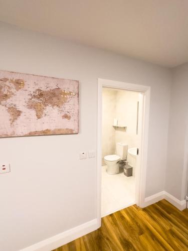 een badkamer met een toilet en een schilderij aan de muur bij Entire Cozy Guest house in Galway