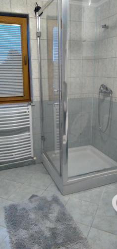 PrnjavorにあるVilla Davidovicのバスルーム(ガラスドア付きのシャワー付)