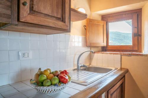 Dapur atau dapur kecil di Borgo Cerbaiola