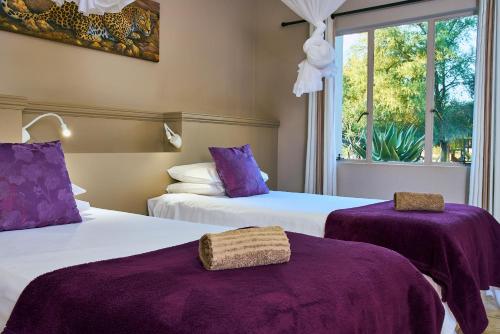 Hammerstein的住宿－Hammerstein Lodge，带窗户的客房内的两张床和紫色床单