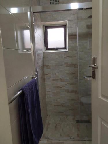 a bathroom with a glass shower with a window at Rena Apartment in Lilongwe