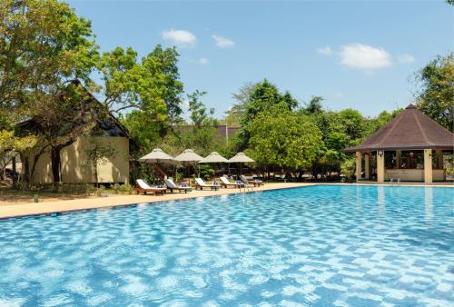 a large swimming pool with chairs and umbrellas at Occidental Paradise Dambulla in Sigiriya