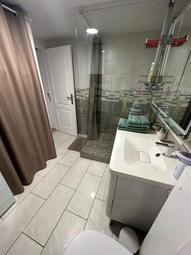 une salle de bain avec toilettes, lavabo et douche dans l'établissement Nid douillet avec terrasse, à Talence