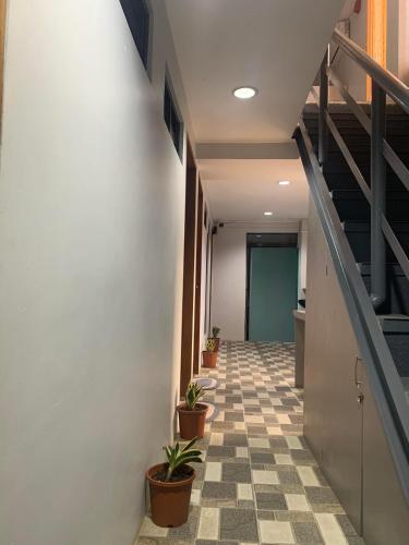 an office hallway with potted plants and stairs at MSG LODGING HOME in Puerto Princesa City