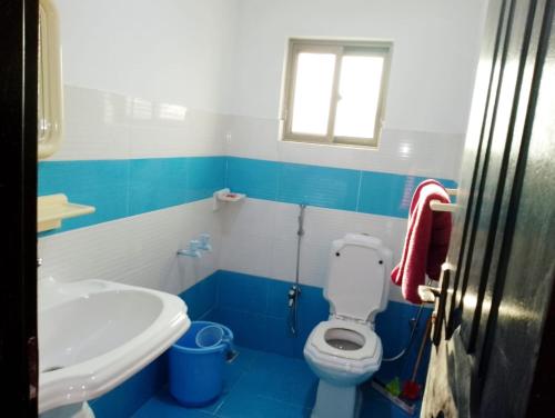 een blauwe en witte badkamer met een toilet en een wastafel bij Islamabad lodge in Islamabad