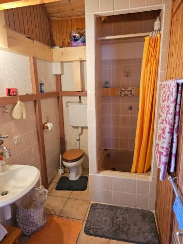 a small bathroom with a toilet and a shower at L'ancien hospice in Bourg-Saint-Pierre
