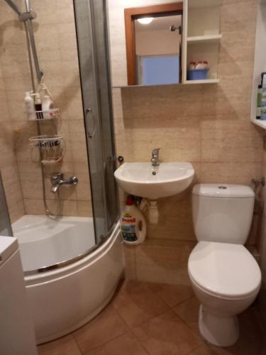 a bathroom with a toilet and a sink and a shower at Warta Piastowskie Apartament in Poznań