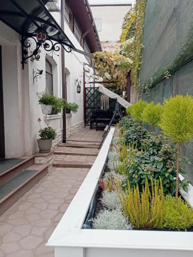 un giardino con piante e fiori su un edificio di White house parc Carol a Bucarest