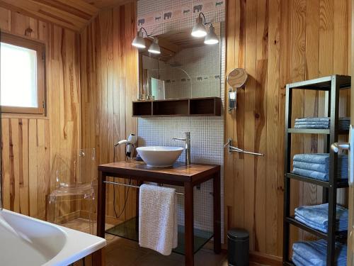 ein Bad mit einem Waschbecken und einem Spiegel in der Unterkunft La Manou, esprit bois avec piscine privee in Saint-Aulaire