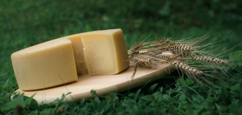 a block of cheese on a stick in the grass at Gorska Vila mountain villa in Soča
