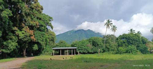 un edificio en un campo con una montaña en el fondo en Hostel La Gloria en Ometepe