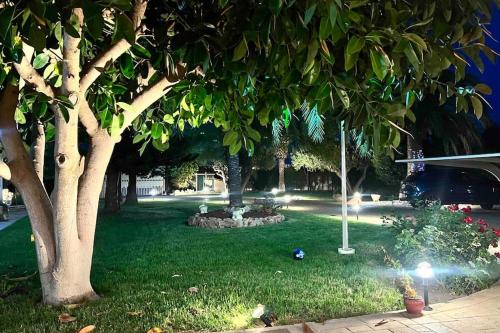 einen Park mit Bäumen und einem Hydranten im Gras in der Unterkunft Villa Iluminada con piscina y barbacoa cerca Playa in Elche