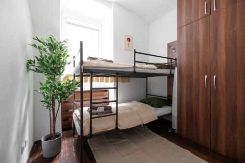 a bedroom with two bunk beds and a plant at Vienna City Business Rooms in Vienna